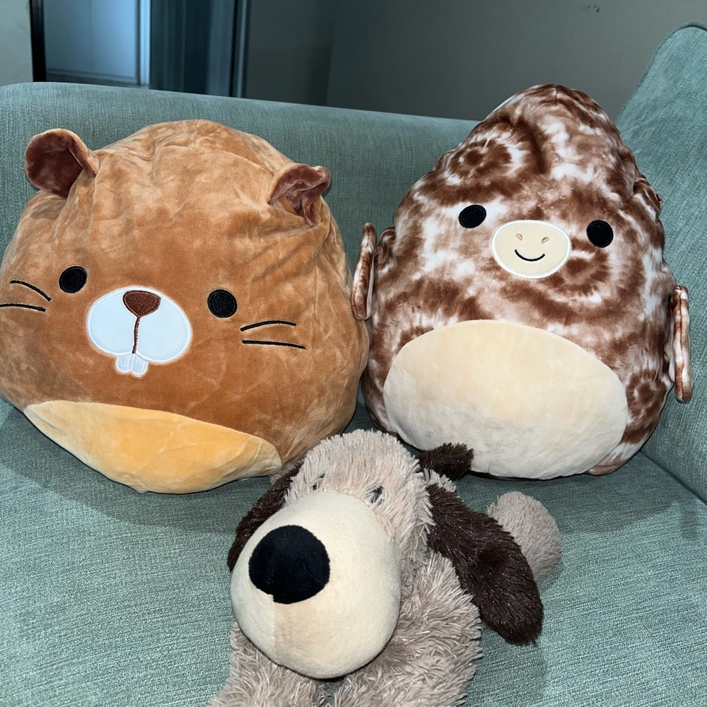 Squishmellow plushies. Beaver is reversible into raccoon